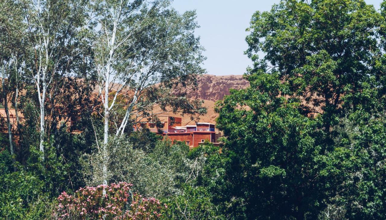 Monkey Fingers House By Fatima Mellal Hotel Tinghir Kültér fotó